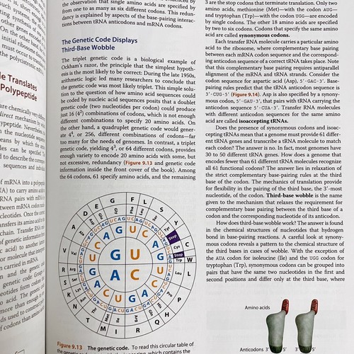 Genetic Analysis: An Integrated Approach 2nd Edition Hardcover Good - Foto 11 di 12