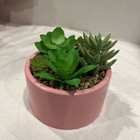 Picture 4 of 7