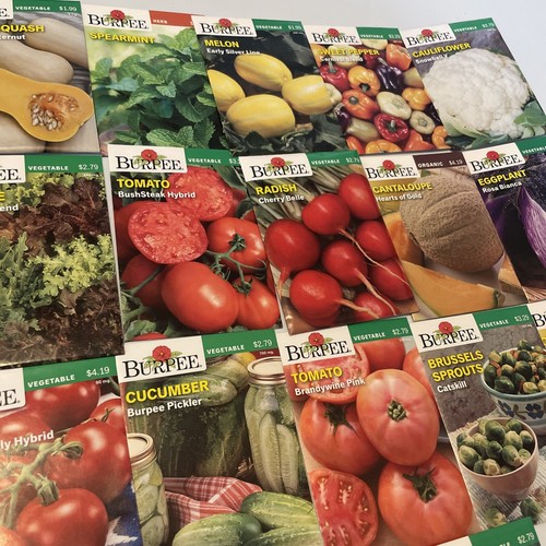 Garden Seeds Lot of 22 Packs of Burpee Vegetable & Herbs Dated 2021 - Picture 3 of 6