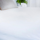 ProtectEase Waterproof Dust Mite and Bed Bug Mattress Protector (Twin)