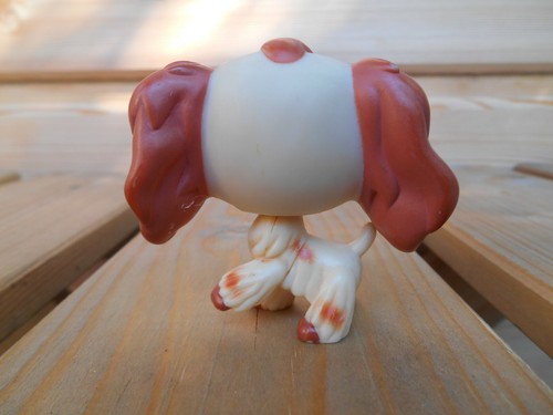 LPS Littlest petshop pet shop chien chat européen teckel colley cat dog rare - Imagen 36 de 90