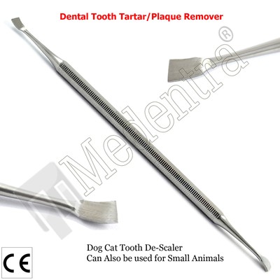 dog plaque remover tool