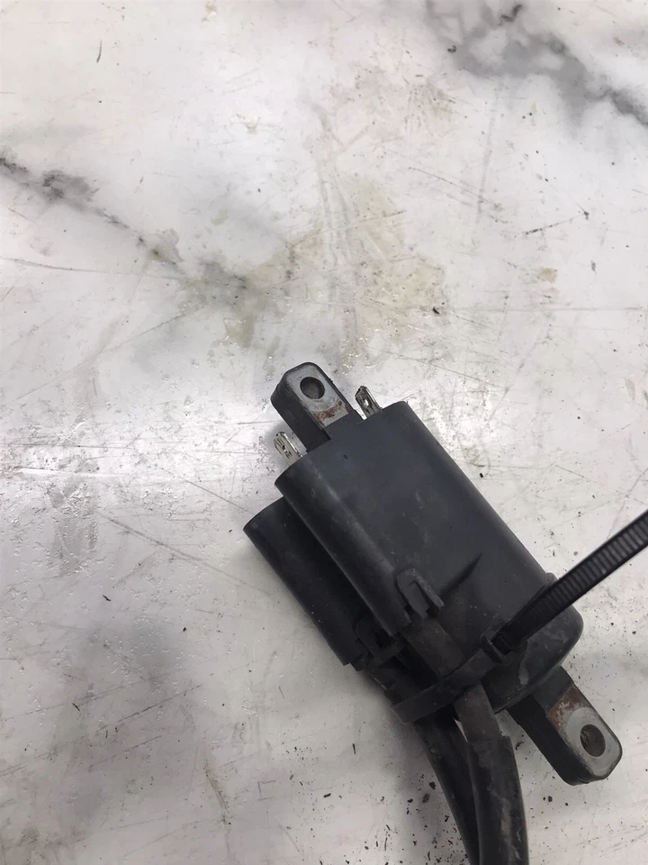 Paquete de 10 bobinas de encendido para moto de nieve Ski-Doo MXZ XRS 600 HO ETEC Foto 4 de 4