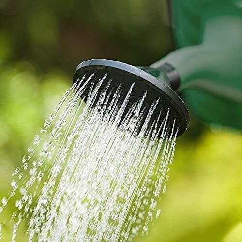 Watering Can Rose Head Detachable, Garden Plants Indoor & Outdoor Water Can 7L - Picture 4 of 5