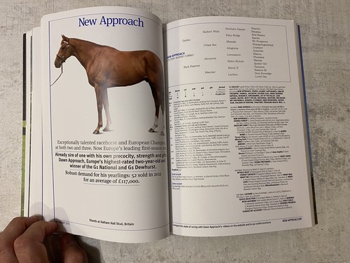 Darley 2013 Stud Stallion Guide Book Darleystallions.com Sheikh Mohammed - Picture 7 of 9
