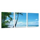 3pcs Bells Beach Australia  Beach Palm Trees Wall Art Canvas  Unframed/Framed