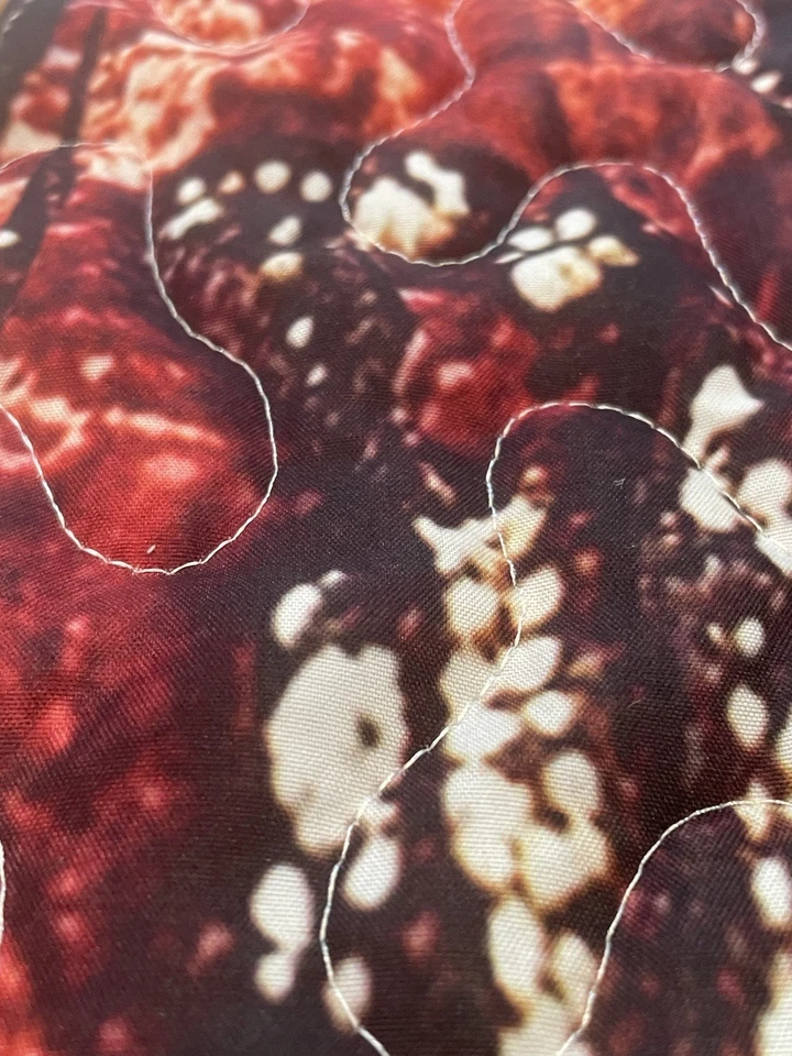 NUEVO Colcha Manta Acolchada Dragonfly Queen 88 x 88" Bloque Acolchado Foto 4 de 4