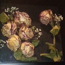 Dried Rose and Baby's Breath Floral Arrangement Shadow Box