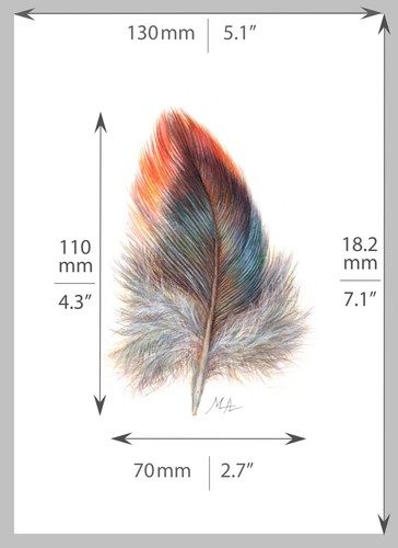 ORIGINAL Watercolour Painting Red-Blue Feather. 5” × 7” by Mila Ansell - Picture 2 of 3