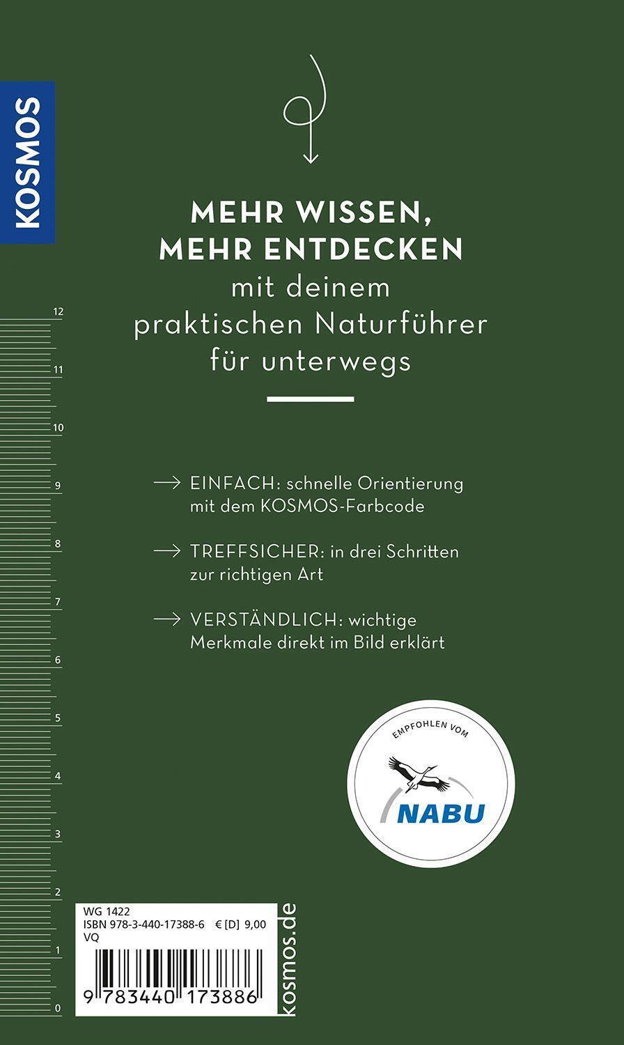 Thumbnail - Basic Gartenvögel | Volker Dierschke | Deutsch | Taschenbuch | 128 S.