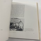 Picture 8 of 12