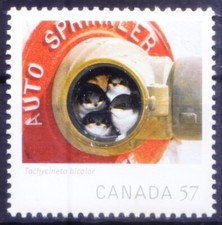 Canada 2010 MNH, Birds Tree Swallow, Wildlife Photography of Year