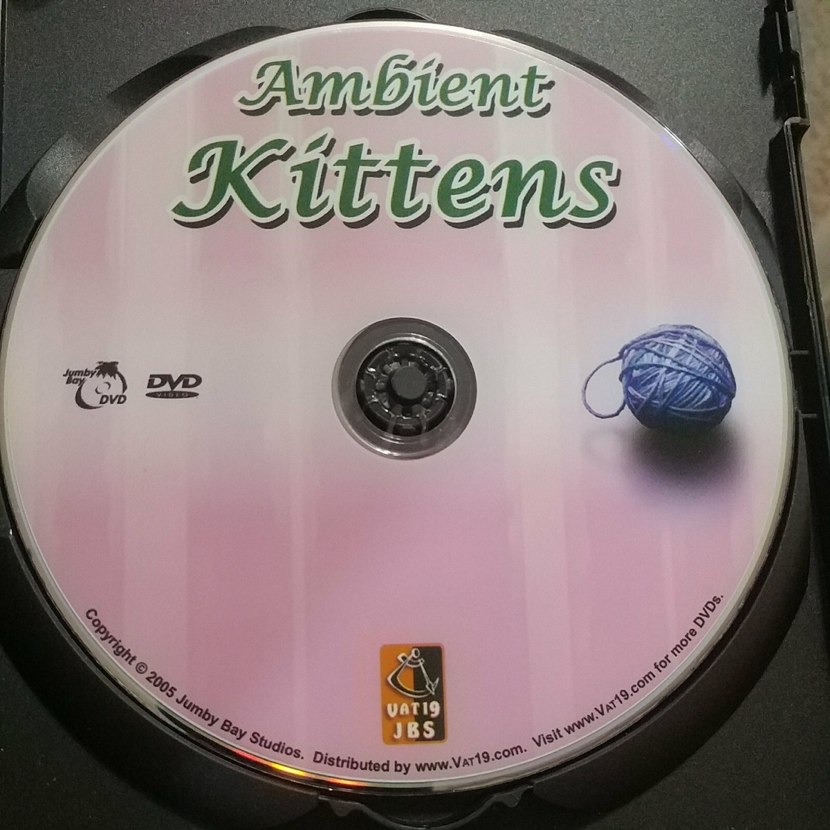 Ambient Kittens-DVD-2005-VAT19-Jumby Studios | eBay