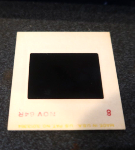 24 ORIGINAL BRIAN WILSON/ Beach Boys 1964 Kodak 35mm slides w copyright~PHOTO - Picture 3 of 8