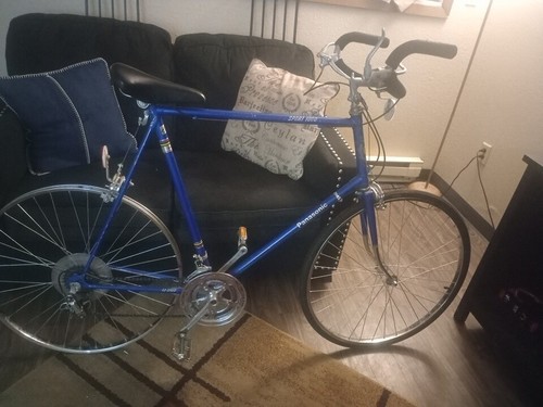 Panasonic Sport 1000 Vintage Racing Bike Made In Japan - Picture 3 of 4