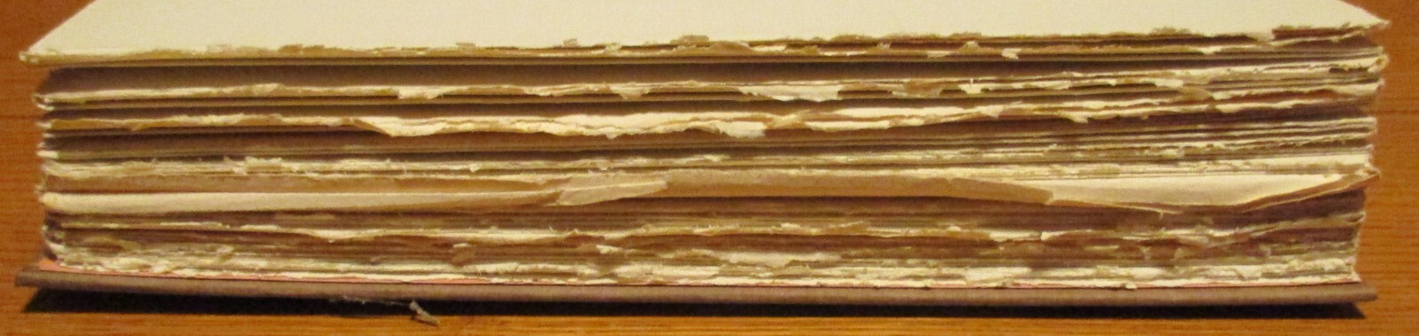 Bild 11 von 13