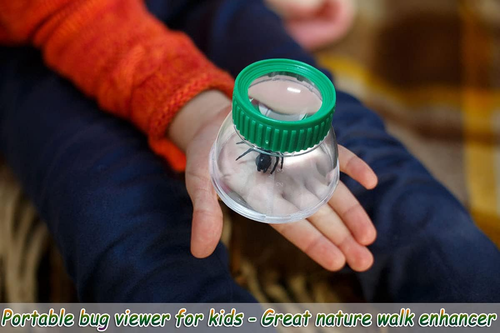 Bug Viewer for Kids with 5X Magnifier,Insect Observation Kit Built-In 7Cm Ruler - Picture 7 of 12