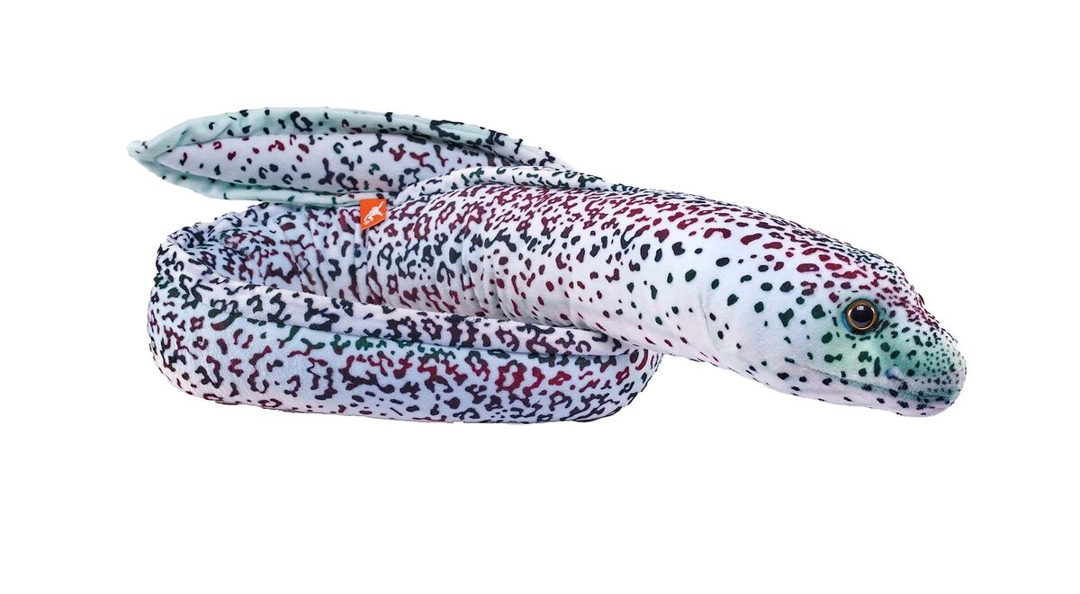 超人気ブティック Wild Republic Living Ocean Peppered Moray EEL, Stuffed 動物