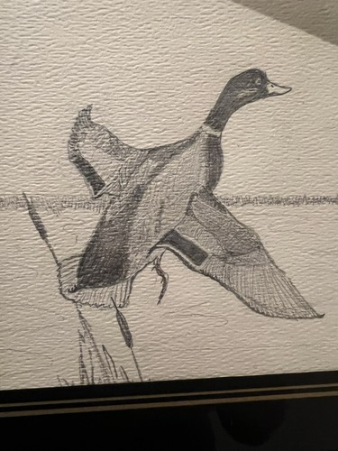 Vintage Pencil Art Drawing w/Duck On Water Framed,Matted and Signed. 1976 - Photo 2 sur 10
