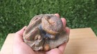 Bild 9 von 10