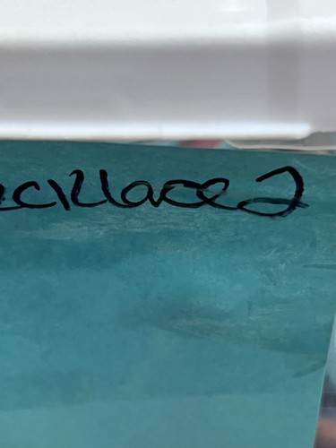 Collar de latón martillado para mujer cuello gargantilla toque minimalista boho indie sordo - Imagen 4 de 4