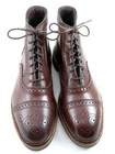 NEW Allen Edmonds "HAMILTON" Men's Leather Cap-Toe Dress Boots 8 D Chili  (806N)