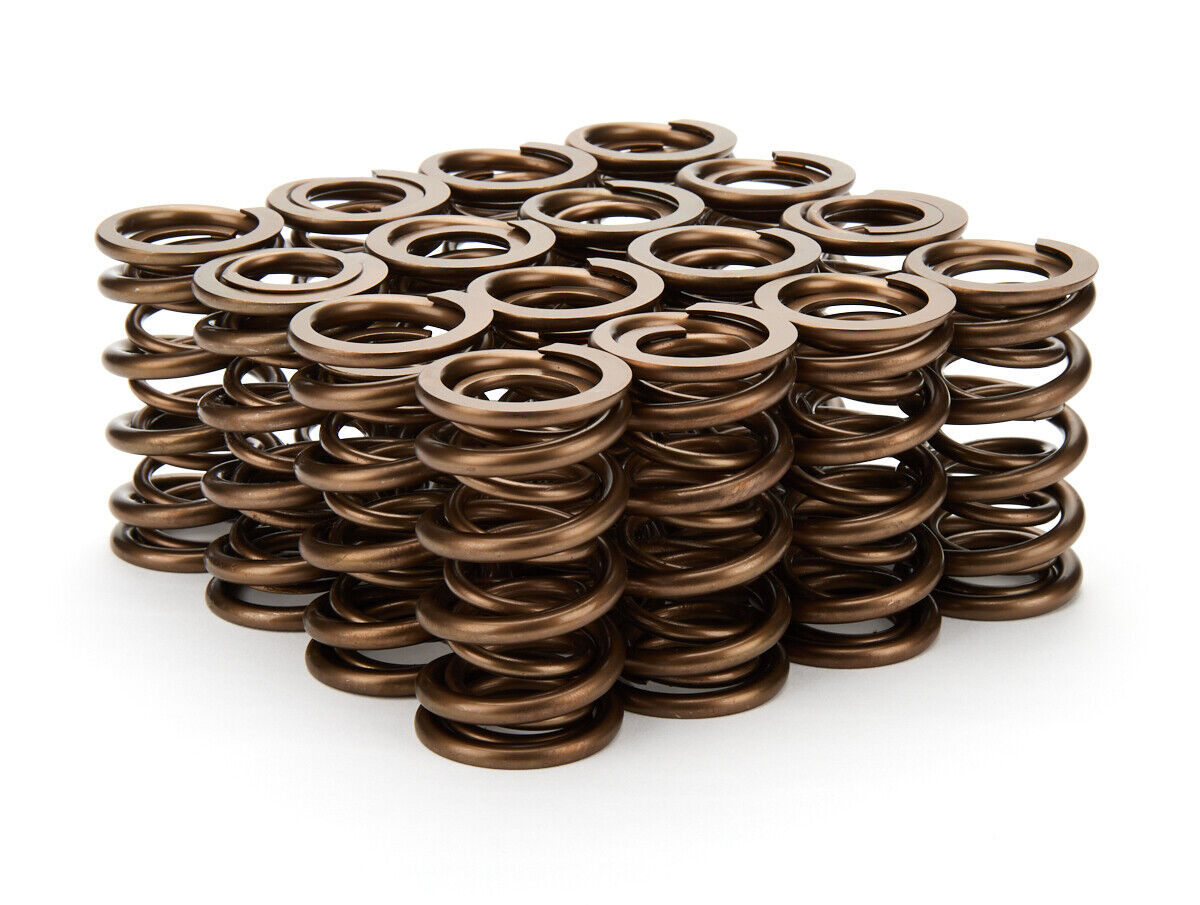 Straub Technologies 1.290 Dual Valve Springs 16pk Straub Technologies 1.290 Dual Valve Springs 16pk