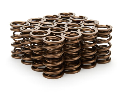 Straub Technologies 1.290 Dual Valve Springs 16pk Straub Technologies 1.290 Dual Valve Springs 16pk