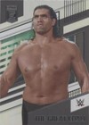 2022 Panini Chronicles WWE - The Great Khali #255