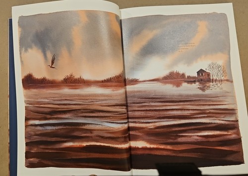 2014 El Río Illustrated Book In Spanish By Alessandro Samma 1st Edition VeryGood - Picture 4 of 7