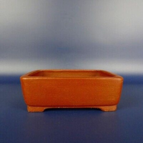 Pentola bonsai giapponese TOKONAME SHIBAKATSU forma rettangolare L12,5 cm H4 cm senza smalto - Foto 19 di 24