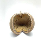 Foto 5 di 7
