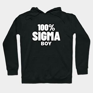 100% Sigma Boy Made in USA Hoodie S to 3XL