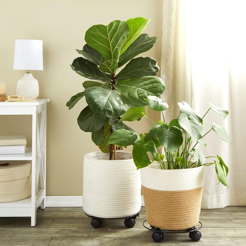 3Packs Metal Plant Caddy Plant Dolly Plant Stand Plant Holder with Wheels 10.5in - Picture 7 of 9