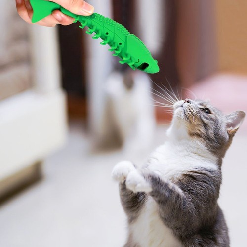 Cat Self-Cleaning Toothbrush With Catnip Interactive Cat Pet Toy Dental Toy GiKH - Picture 3 of 8