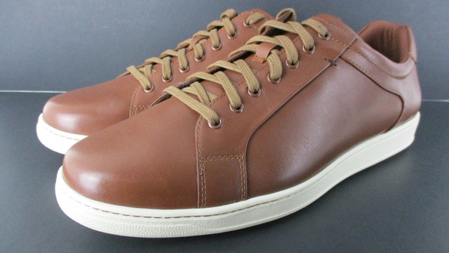 cole haan shapley sneaker