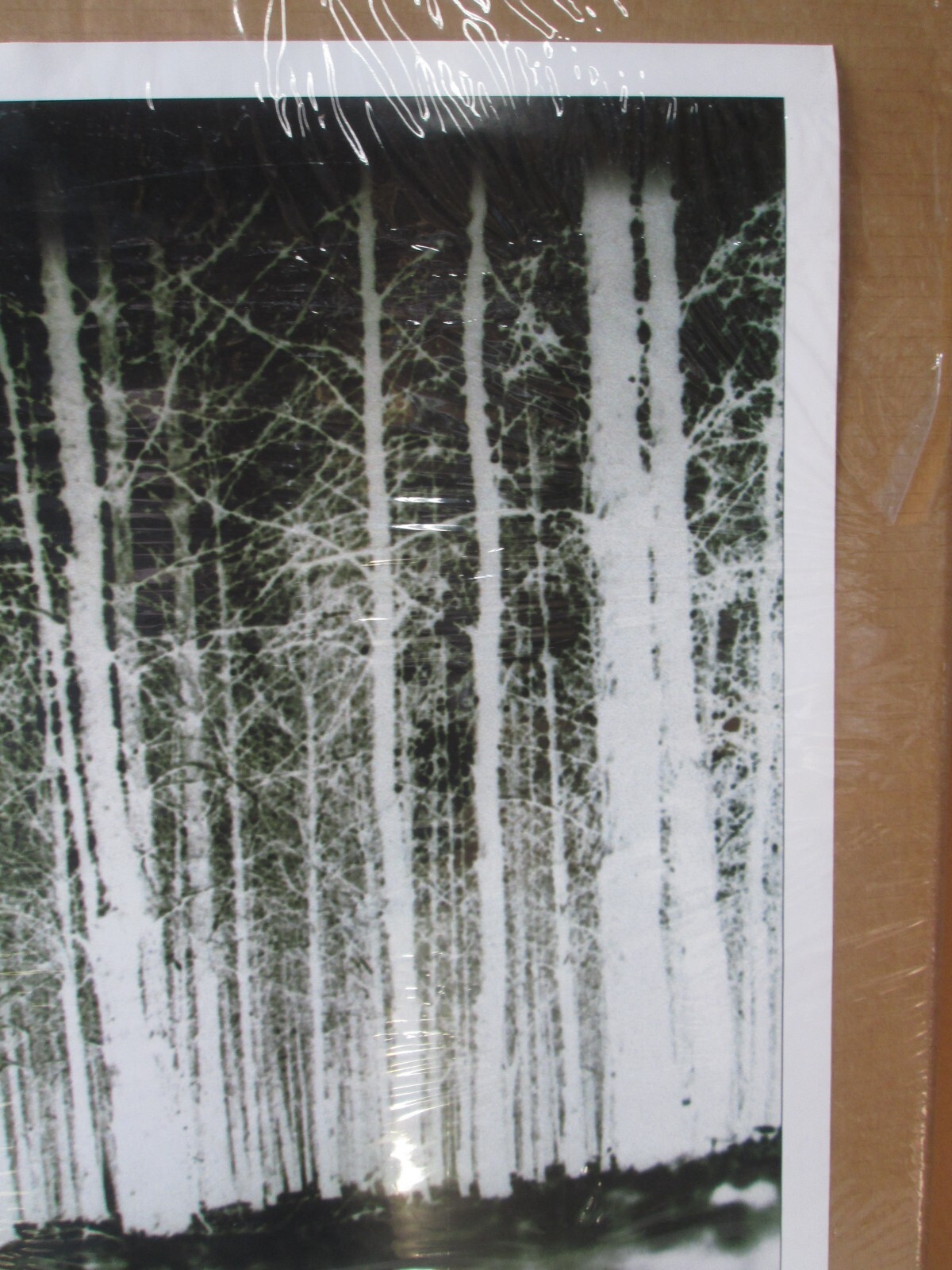 Bild 2 von 5