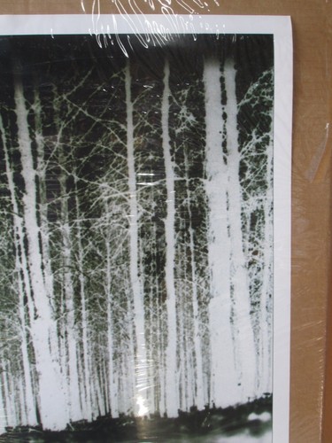 The Blair Witch Project Vintage Original Movie Poster 1999 21358 - Bild 2 von 5
