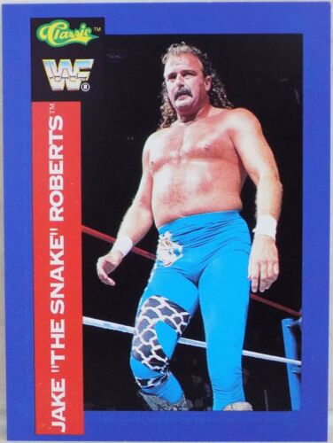 WWF CLASSIC WRESTLING SUPERSTARS 1991 TRADING CARDS BLUE BORDER WCW WWE - Picture 142 of 297