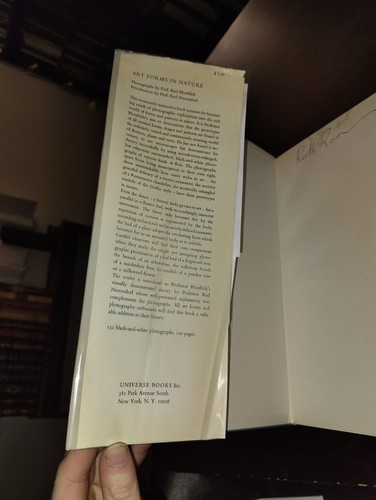 Kunstformen in der Natur: Vergrößerte Fotografien von Karl Blossfeldt 1967 Hardcover - Bild 5 von 14