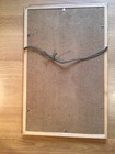 Foto 7 di 7