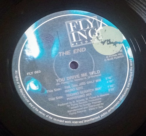 The End : You Drive Me Wild & Rebel Song - 2 x 1991 Italian 12" Dance Anthems!! - Picture 2 of 6