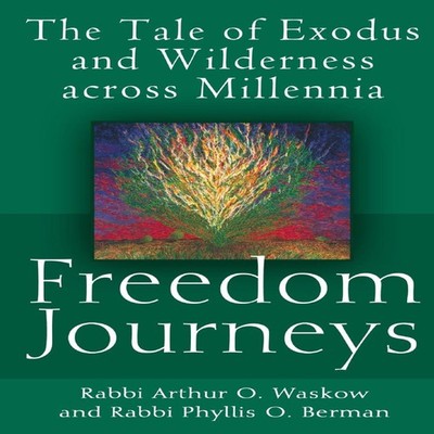Freedom Journeys The Tale of Exodus and Wilderness across Millenn