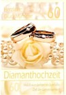 Bild 71 von 74