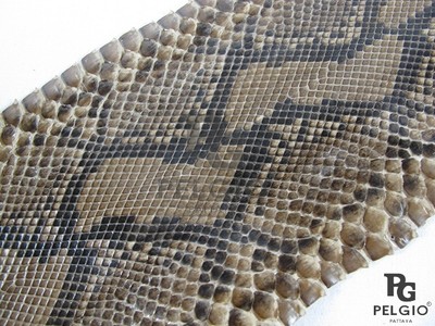 PELGIO Real Genuine Polished Stingray Skin Leather Soft Hide Pelt Beige Grade A