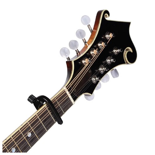 Banjo Capo, D'Addario PW-CP-11, Accurate, Precise & Very Light - Picture 6 of 7