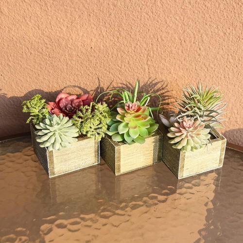 Artificial Succulents Plants, Mini Assorted Green Faux Succulents in Pots, Small - Picture 3 of 12