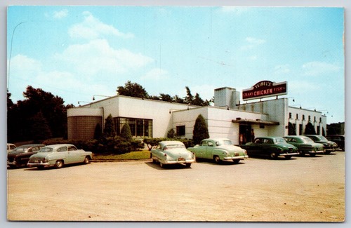 Dyer Indiana~Teibel's Fried Chicken On US Hwy 30~Vintage Postcard