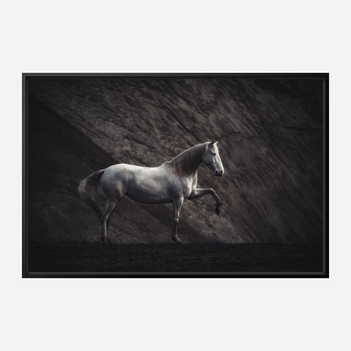 Solitario di Heike Willers Cavallo Fotografia Giclée Stampa Arte Spedizione Gratuita - Foto 3 di 4