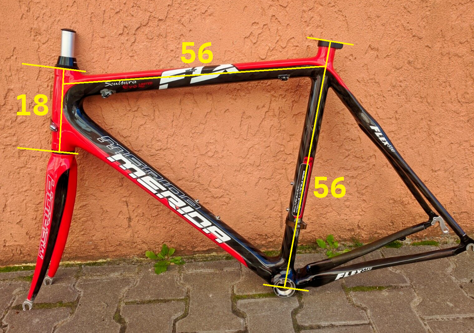 Bild 2 von 12